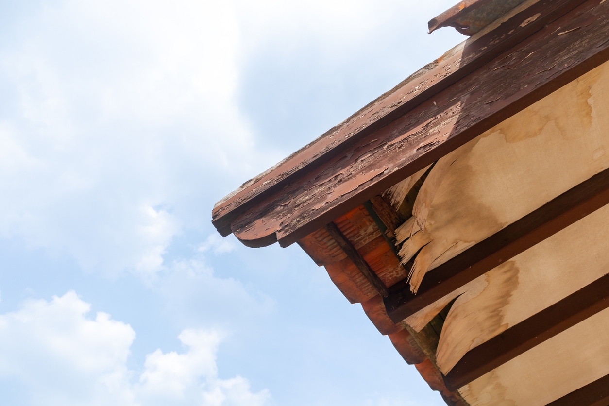 wood rot on edge of a Pleasanton, CA roof